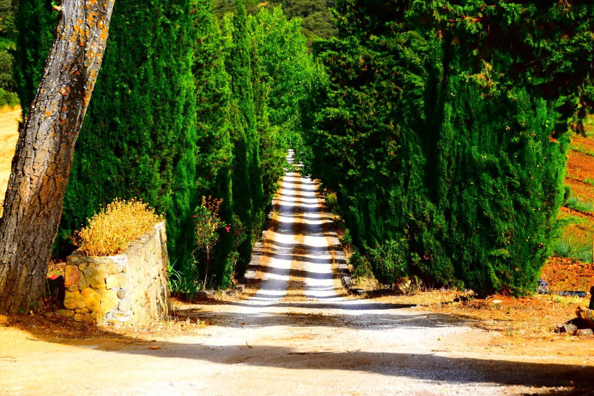 Villa Casa Alta Ronda Esterno foto